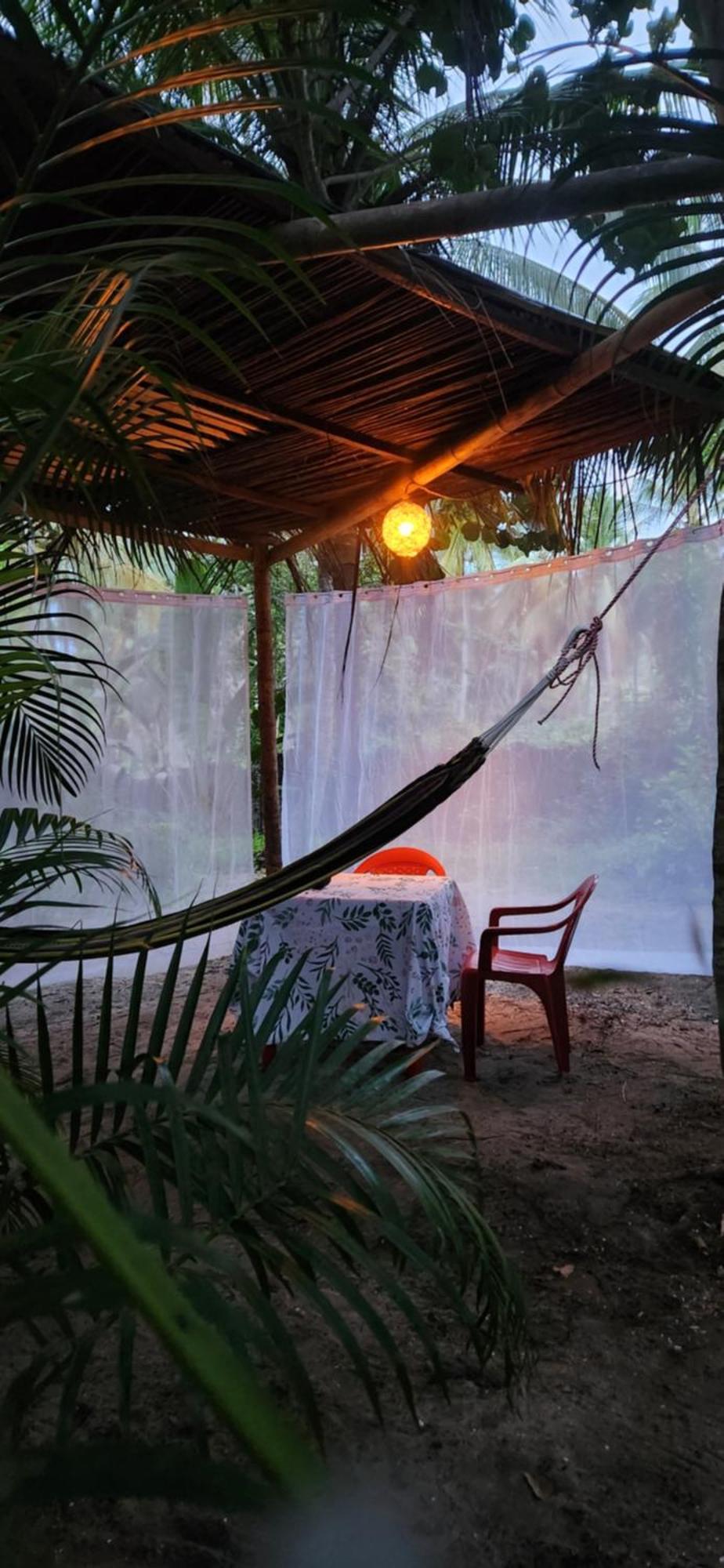 Nueva Onda Bed & Breakfast Palomino Bagian luar foto